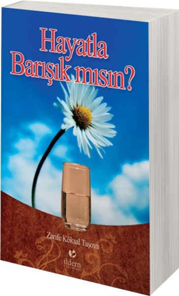 Hayatla Barışık Mısın? kitabı