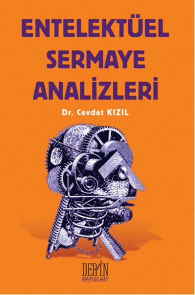 Entelektüel Sermaye Analizleri kitabı