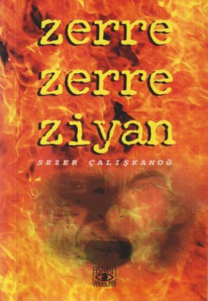 Zerre Zerre Ziyan kitabı
