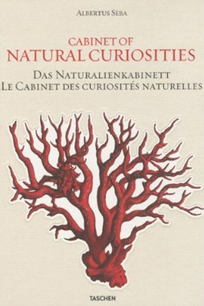 Albertus Seba: Cabinet Of Natural Curioties kitabı