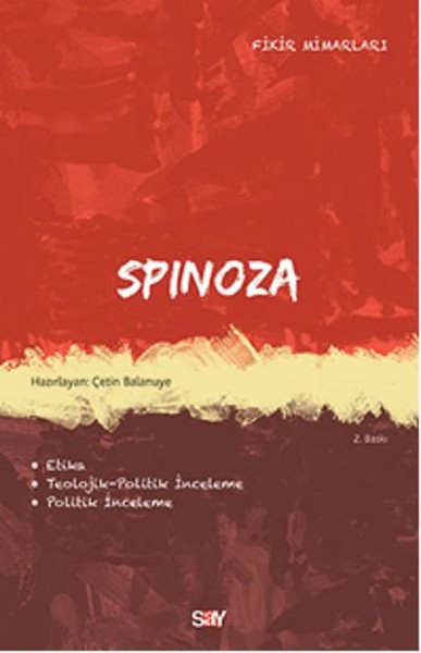 Spinoza kitabı