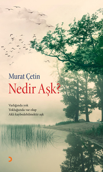 Nedir Aşk? kitabı