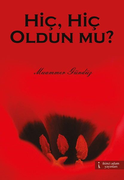 Hiç, Hiç Oldun Mu? kitabı