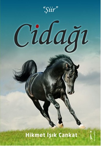 Cidağı kitabı