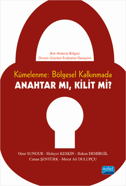 Kümelenme: Bölgesel Kalkınmada Anahtar Mı Kilit Mi? kitabı