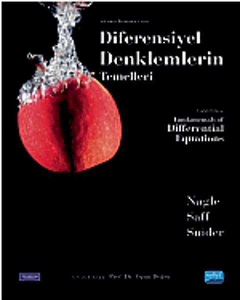 Diferensiyel Denklemlerin Temelleri kitabı