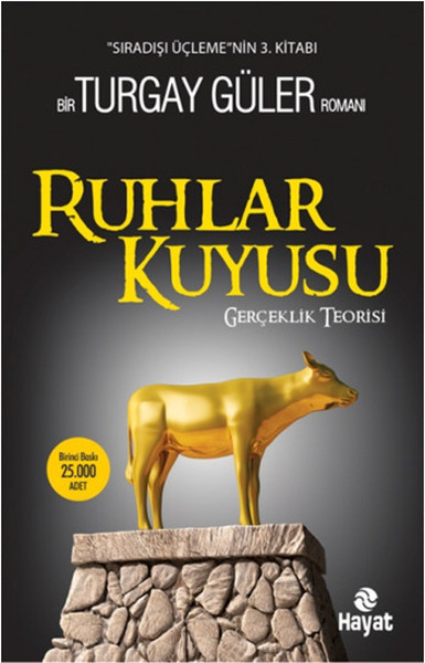 Ruhlar Kuyusu - Gerçeklik Teorisi kitabı