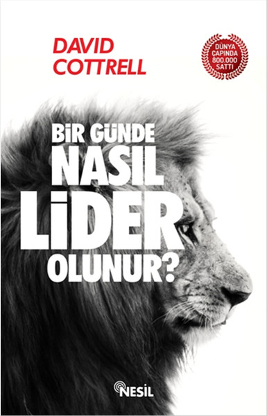 Bir Günde Nasıl Lider Olunur? kitabı