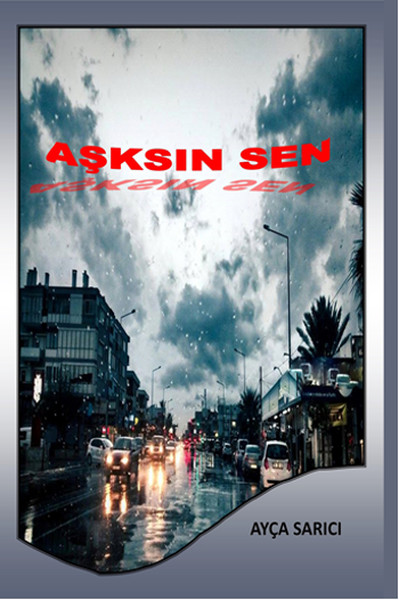 Aşksın Sen kitabı