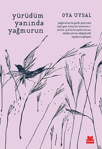 Yürüdüm Yanında Yağmurun kitabı