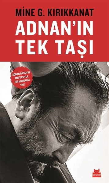 Adnan'ın Tek Taşı kitabı