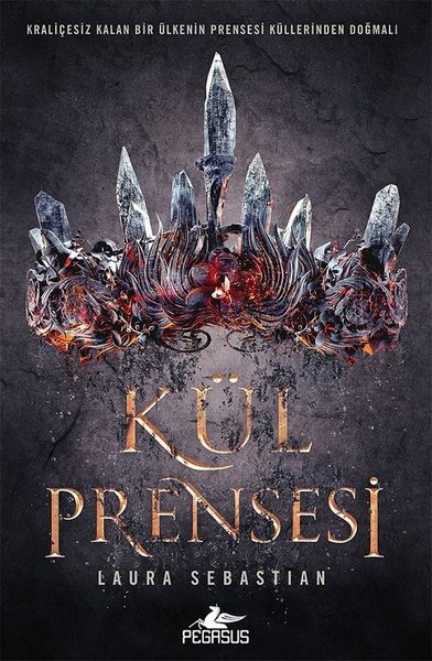 Kül Prensesi kitabı