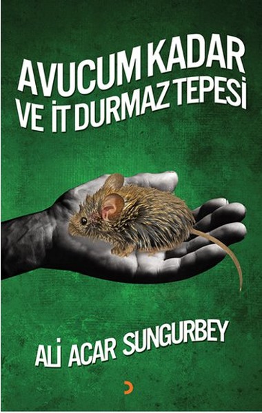 Avucum Kadar Ve İt Durmaz Tepesi kitabı