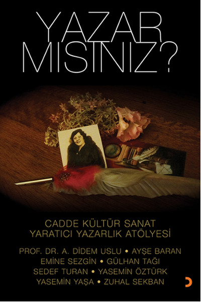 Yazar Mısınız? kitabı