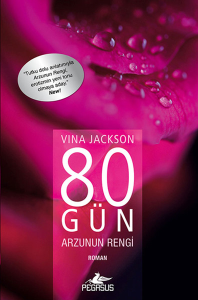 80 Gün Arzunun Rengi kitabı