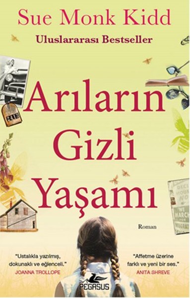 Arıların Gizli Yaşamı kitabı