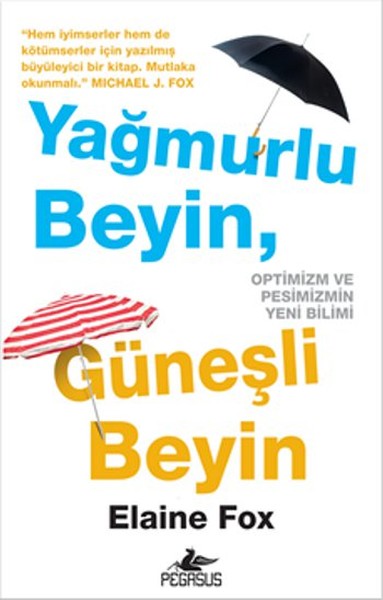 Yağmurlu Beyin, Güneşli Beyin kitabı