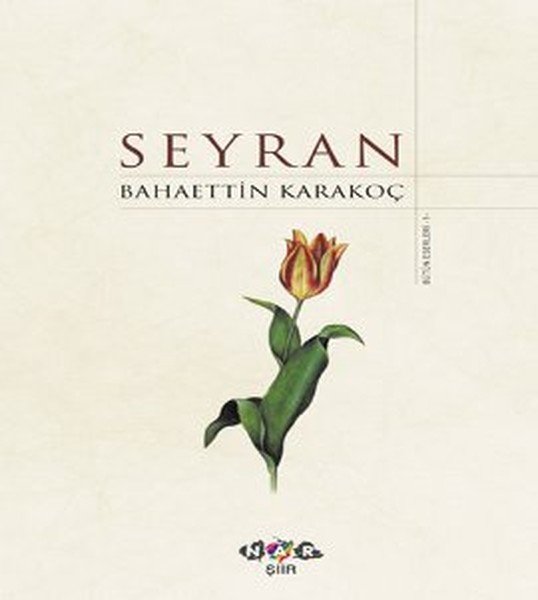 Seyran kitabı