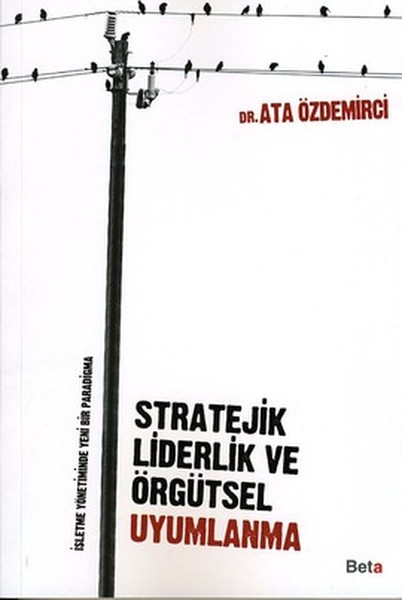 Stratejik Liderlik Ve Örgütsel Uyumlanma kitabı