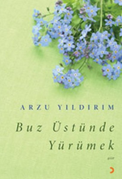 Buz Üstünde Yürümek kitabı