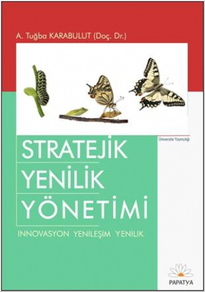 Stratejik Yenilik Yönetimi kitabı