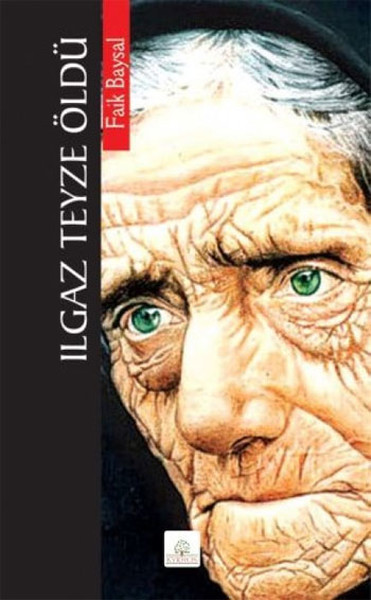 Ilgaz Teyze Öldü kitabı