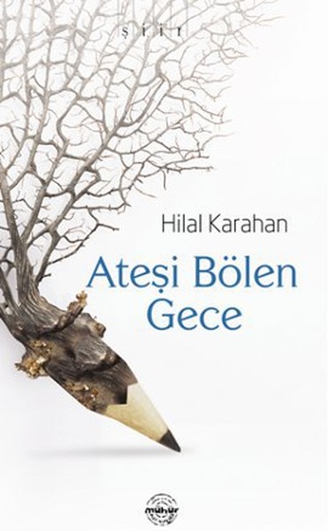 Ateşi Bölen Gece kitabı