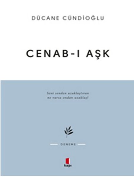 Cenab-I Aşk kitabı