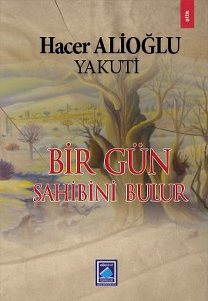 Bir Gün Sahibini Bulur kitabı