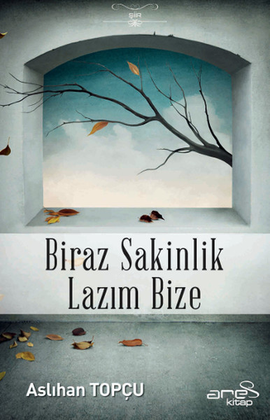 Biraz Sakinlik Lazım Bize kitabı