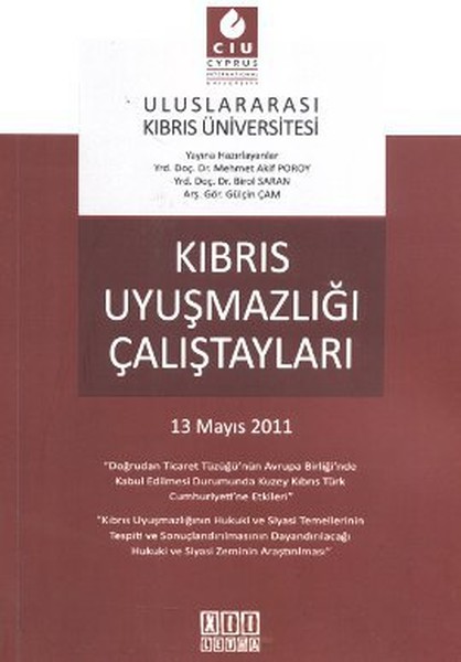 Kıbrıs Uyuşmazlığı Çalıştayları kitabı