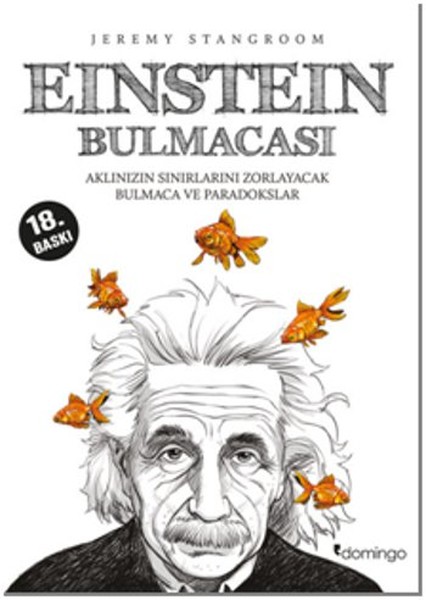 Einstein Bulmacası kitabı