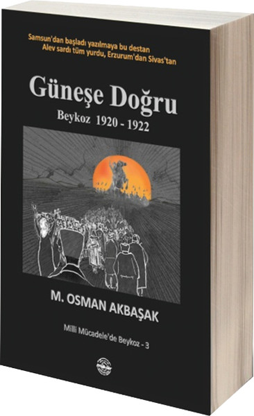 Güneşe Doğru kitabı