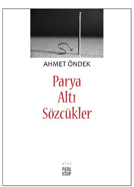 Parya Altı Sözcükler kitabı