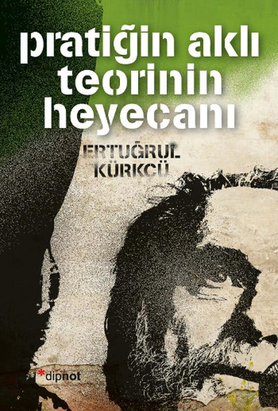 Pratiğin Aklı Teorinin Heyecanı kitabı