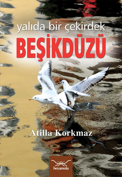 Beşikdüzü kitabı