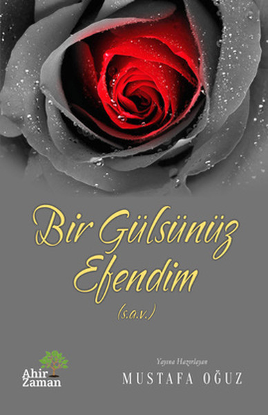 Bir Gülsünüz Efendim kitabı