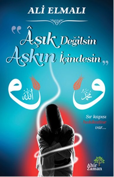 Aşık Değilsin Aşkın İçindesin kitabı