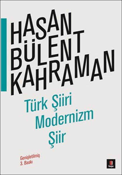 Türk Şiiri Modernizm Şiir kitabı