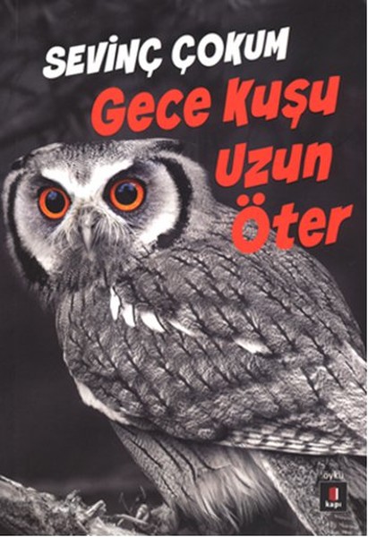 Gece Kuşu Uzun Öter kitabı