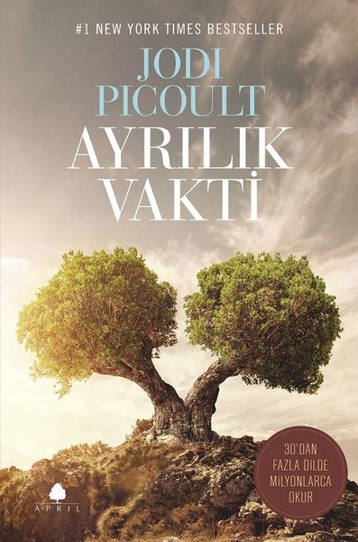 Ayrılık Vakti kitabı