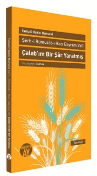 Çalab'ım Bir Şar Yaratmış kitabı