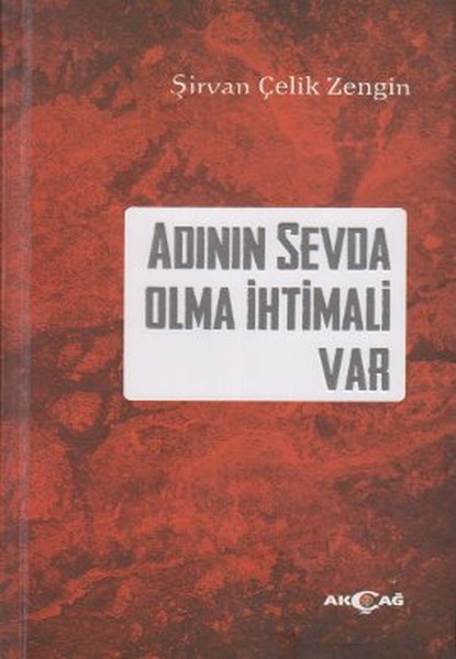 Adının Sevda Olma İhtimali Var kitabı