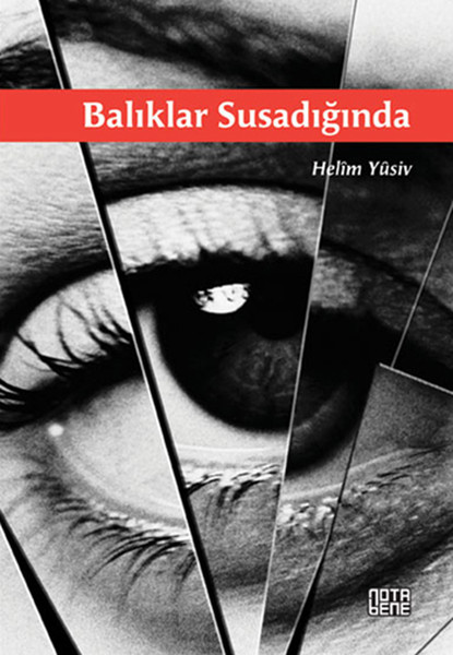 Balıklar Susadığında kitabı