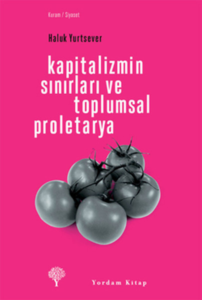 Kapitalizmin Sınırları Ve Toplumsal Proletarya kitabı