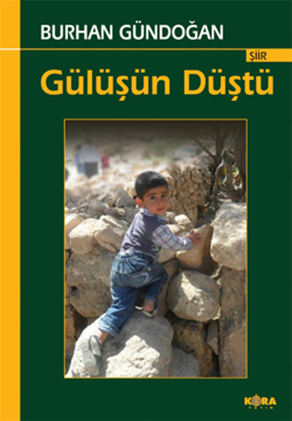 Gülüşün Düştü kitabı