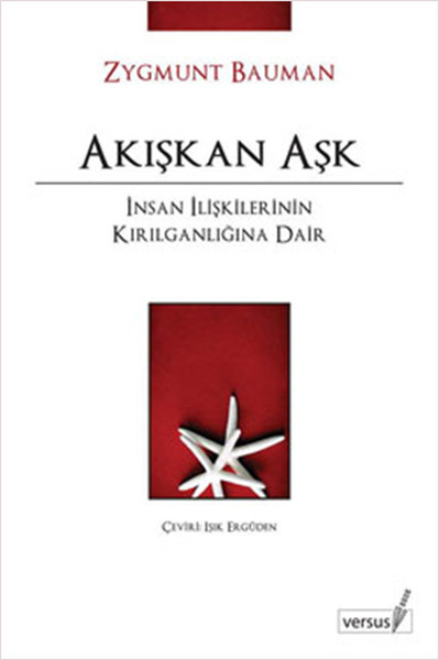 Akışkan Aşk / İnsan İlişkilerinin Kırılganlığına Dair kitabı