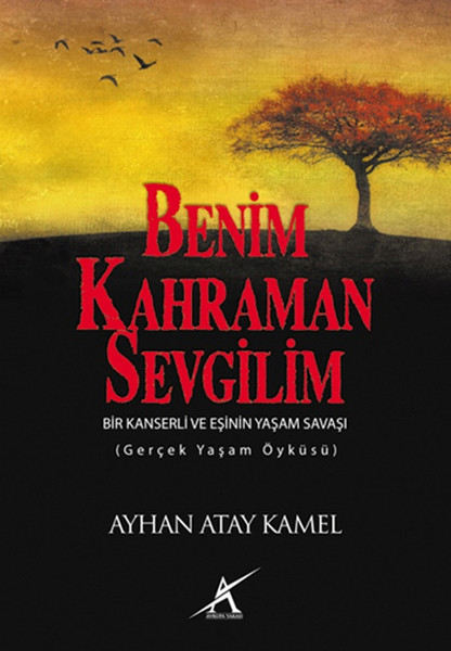 Benim Kahraman Sevgilim kitabı