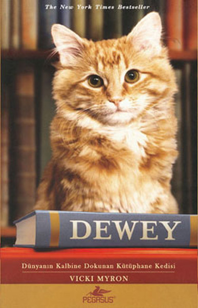Dewey - Dünyanın Kalbine Dokunan Kütüphane Kedisi kitabı