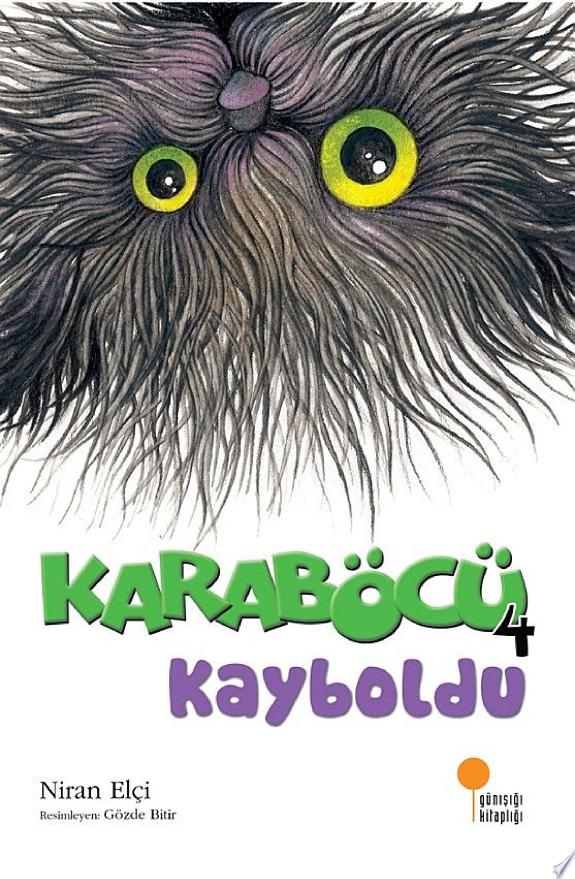 Karaböcü Kayboldu kitabı